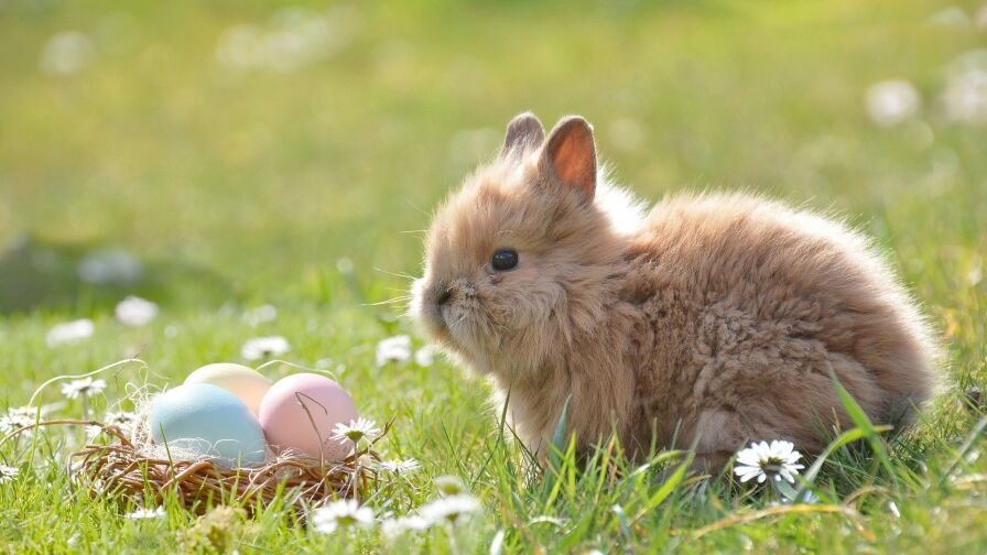 Easter 2197043 1920