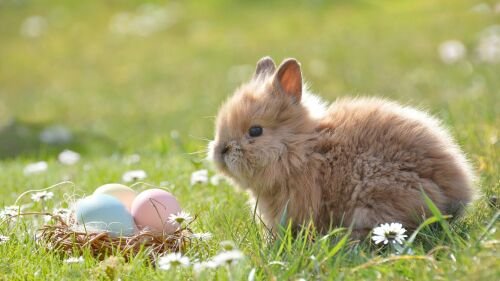 Easter 2197043 1920